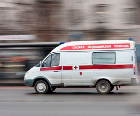В Подмосковье домашние собаки обглодали 3-летней девочке лицо