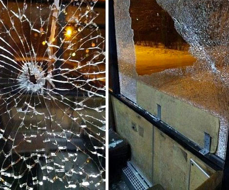 В Подмосковье неизвестные обстреляли пассажирский автобус‍