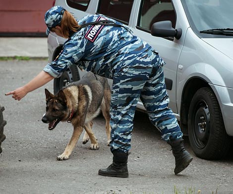В полицию поступило сообщение о бомбе в школе на востоке Москвы‍