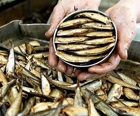 В РФ запрещен ввоз польской рыбопродукции
