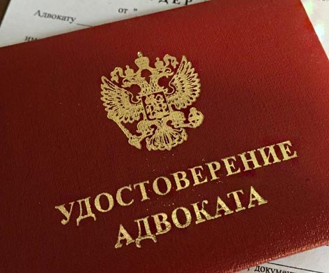 В России может появиться служба государственных адвокатов