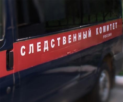 В Рубцовске прохожие пресекли изнасилование двух мальчиков