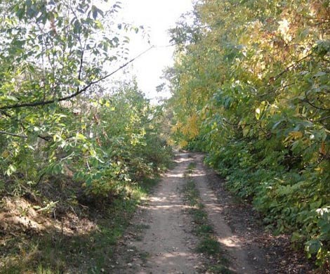 В Саранске несовершеннолетнего разбойника нашли пьяным в кустах