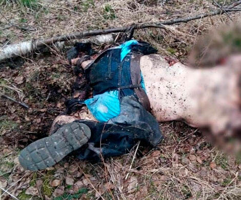 В Синявино на Первомай «черному копателю» оторвало голову‍