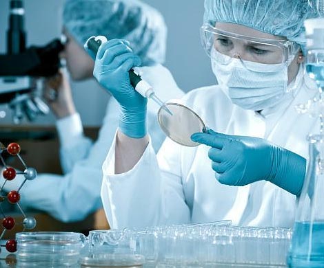 В США зафиксирована новая зона распространения вируса Зика