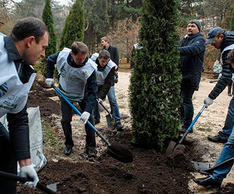 В Воронеже чиновники облагораживали территорию местного парка