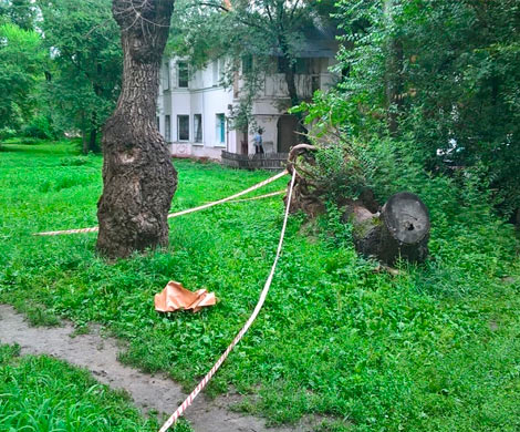 В Хабаровске мать и отчим задушили 3-летнюю дочь и выбросили труп в соседний двор