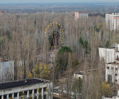 В зоне отчуждения Чернобыльской АЭС задержали сталкеров из России
