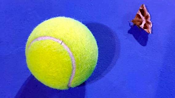 Василий Устюжанин: Фенологические фотозарисовки