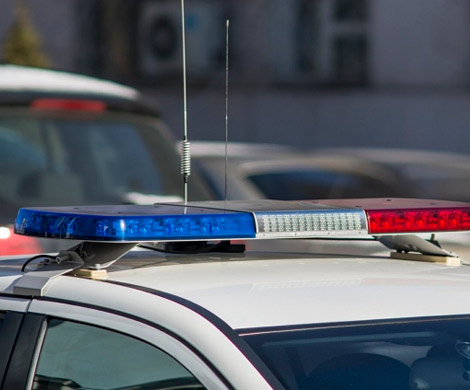 Вазу за 6 млн рублей украли у пенсионера в Москве‍