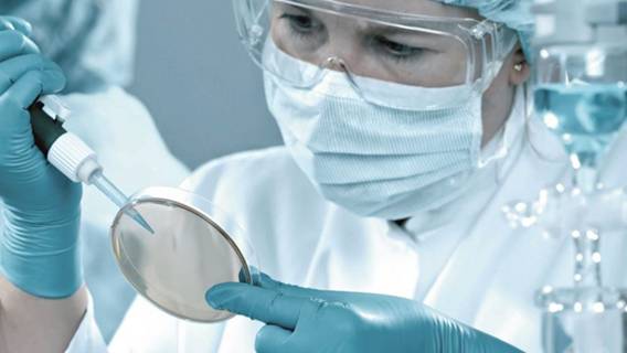 Великобритания собирается ускорить процесс испытания лекарств после Брексита для развития медико-биологических наук
