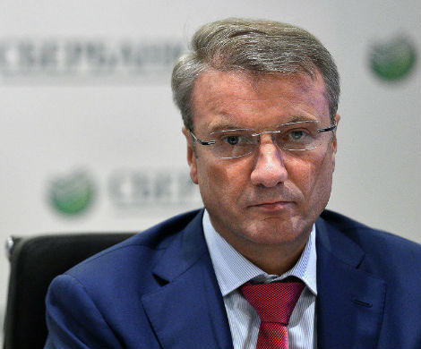 Вице-спикер Левичев посоветовал Грефу подать в отставку