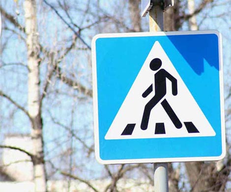 Водителя, сбившего девочку на переходе в Петропавловске, наказали