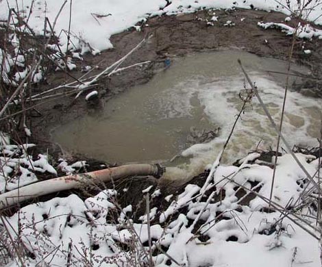 Воронежские экологи бьют тревогу 