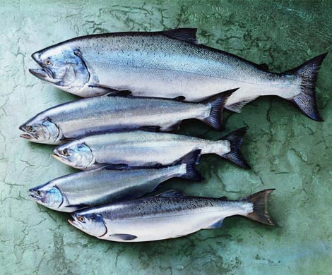 Восемь продуктов, которые нейтрилизируют влияние вредной пищи