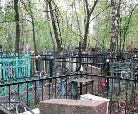 Все в дыму: серьезный пожар возник возле благовещенского кладбища