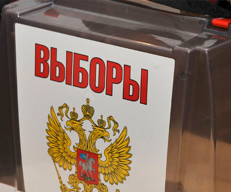Выборы новосибирского губернатора пройдут в следующем сентябре