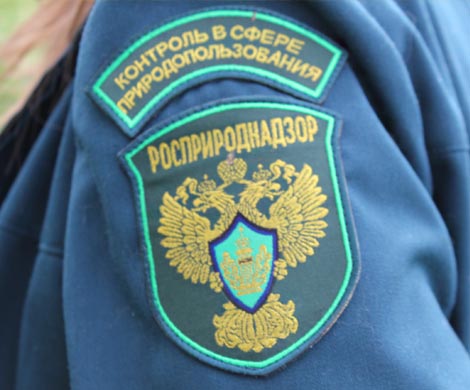 Экологический контроль на местах могут передать Росприроднадзору