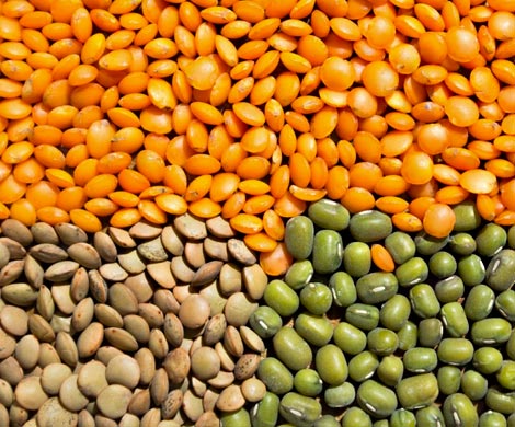 Эксперты рассказали, чем заменить продукты, которые запрещено есть во время Великого поста