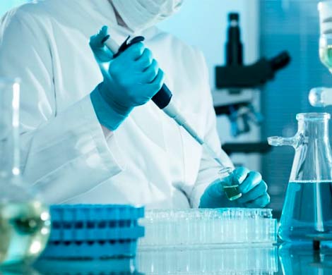 Эпидемия лихорадки Эбола набирает обороты: зафиксировано 729 смертей