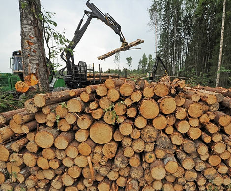 За Нарышкина будут мстить ограничением торговли лесом