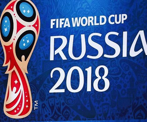 За право стать талисманом ЧМ-2018 по футболу поборются тигр, волк и кот