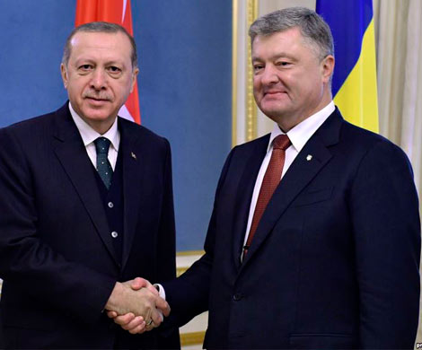 Зачем Эрдоган приезжал к Порошенко?