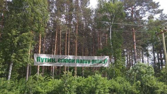 Защитники Березовой рощи в Екатеринбурге требуют от Городской думы исполнить решение суда
