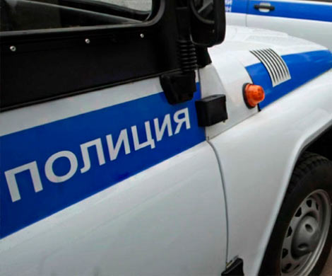 Житель Калининграда размозжил собаку о стену после ссоры с супругой