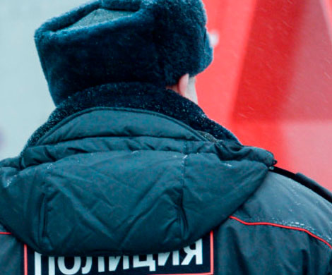  Жительницу Челябинска обвиняют в избиении полицейских