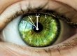 Ученые создали новые биологические часы, которые предсказывают риск смерти