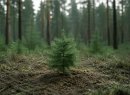 Маленькое, но очень настоящее дело: Björn устраивает самый душевный субботник весны