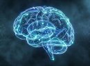 Учёные выяснили, как кофе через микробиом кишечника влияет на мозг, настроение и память