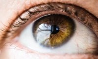 10 продуктов, которые укрепят здоровье ваших глаз