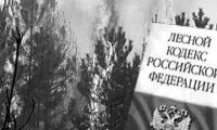 От Лесного кодекса остался только пепел