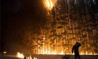 Greenpeace: МЧС и Рослесхоз скрывают пожары