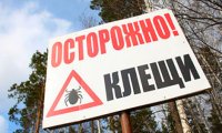 Клещи атакуют