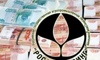 «Росагролизинг»: число задержанных растет