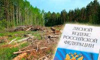 Кодексом по лесу
