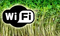 Wi-Fi убил семена сомнений
