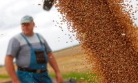 Россия обрушила цены на зерно