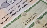 Маткапитал - на бизнес?