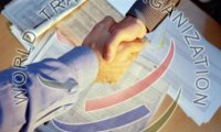 Грузия ушла с дороги в ВТО