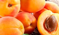 Абрикос признан самым полезным летним фруктом