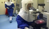Американские ученые сообщили об успешных испытаниях вакцины против Эболы