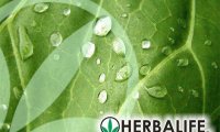 Американские власти начали расследование деятельности Herbalife