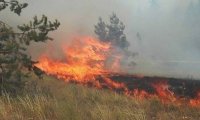 Аномальная жара спровоцировала природные пожары