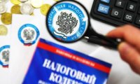 Аудиторы Счетной палаты нашли в России сотни необъяснимых неналоговых сборов