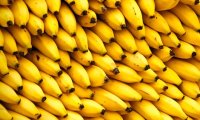 Бананы могут полностью исчезнуть с прилавков магазинов