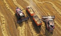 Битва за урожай-2022: рекордные 150 млн. тонн зерновых, включая 105,3 млн. тонн пшеницы